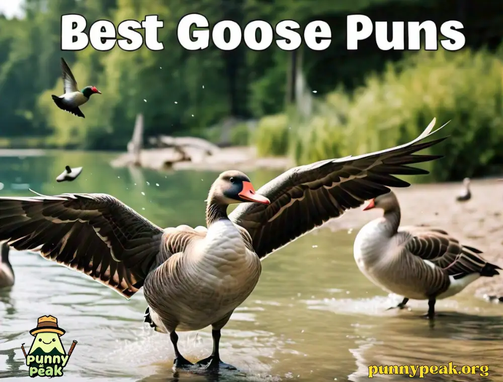 Best Goose Puns